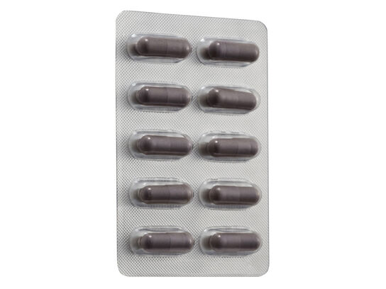 LINGZHI PLUS+ 600mg